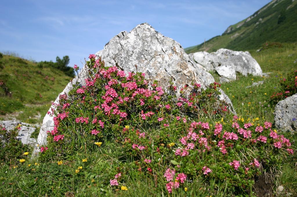 Gasthof "Zur Gemuetlichkeit" Bschlabs ภายนอก รูปภาพ